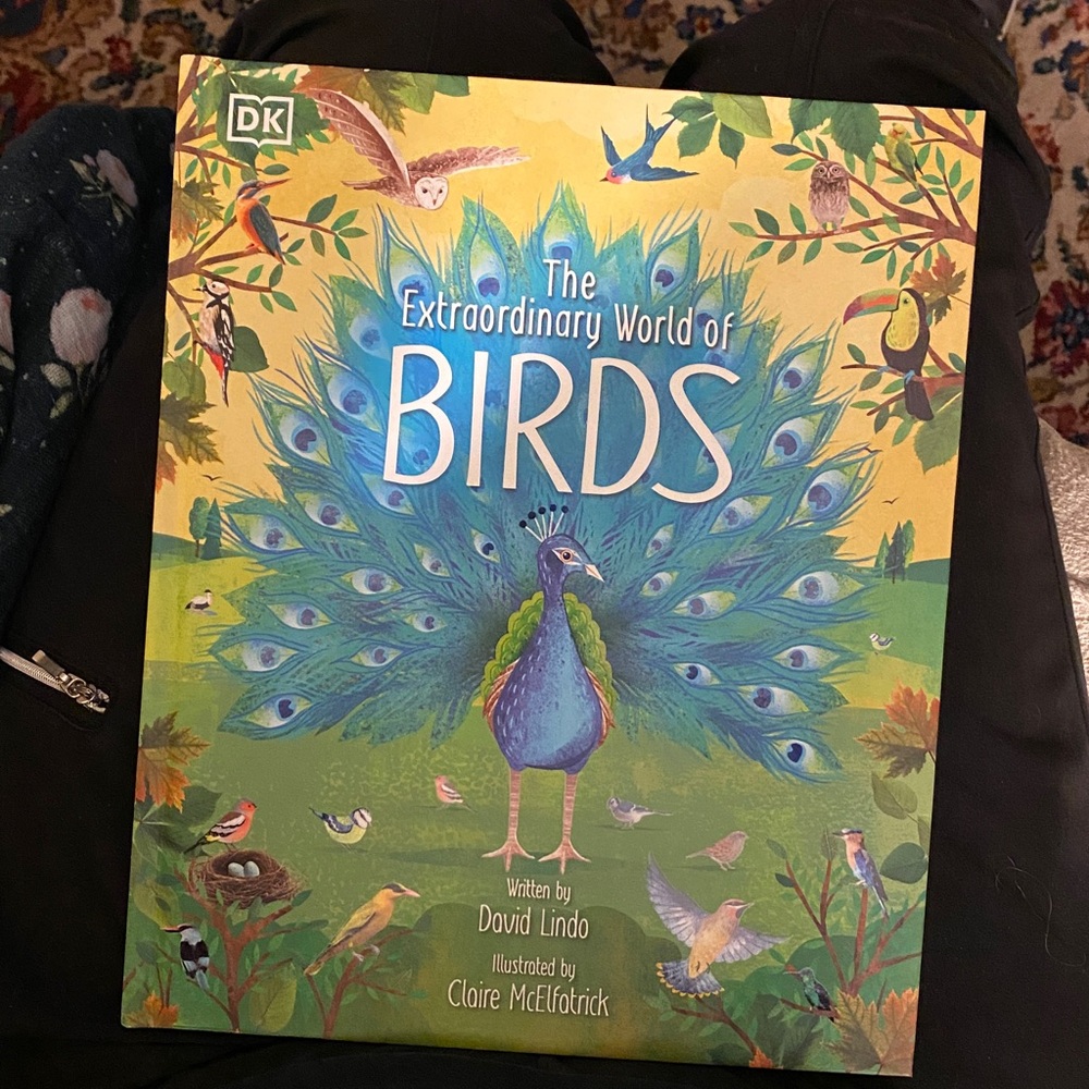 “The Extraordinary World of Birds” • Illustrated Book by David Linda
